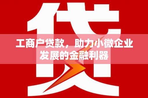 昌乐工商户贷款，助力小微企业发展的金融利器