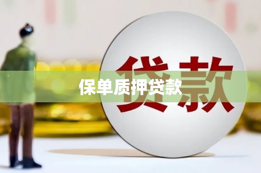 昌乐保单质押贷款