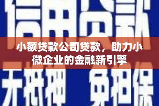 昌乐小额贷款公司贷款，助力小微企业的金融新引擎