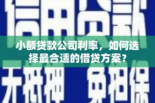 昌乐小额贷款公司利率，如何选择最合适的借贷方案？