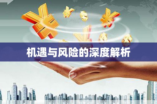 昌乐机遇与风险的深度解析