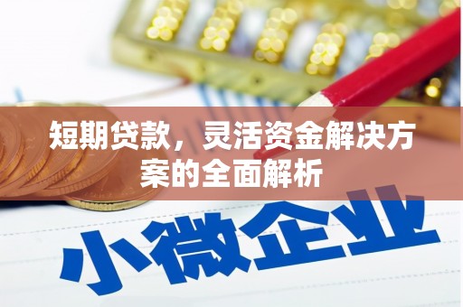 昌乐短期贷款，灵活资金解决方案的全面解析