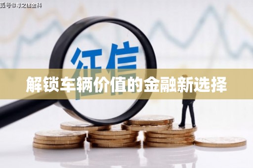 昌乐解锁车辆价值的金融新选择
