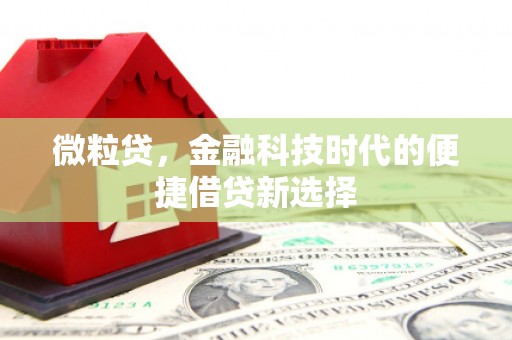 昌乐微粒贷，金融科技时代的便捷借贷新选择