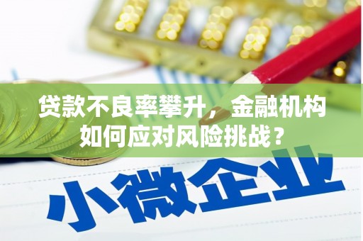 昌乐贷款不良率攀升，金融机构如何应对风险挑战？