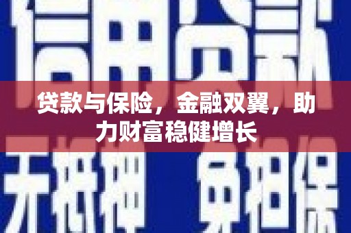 昌乐贷款与保险，金融双翼，助力财富稳健增长