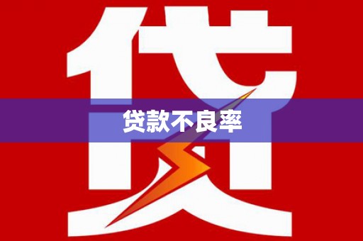昌乐贷款不良率