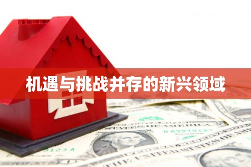 昌乐机遇与挑战并存的新兴领域