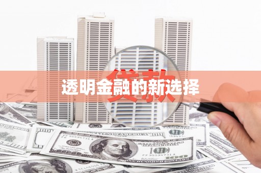 昌乐透明金融的新选择