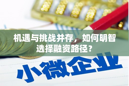 昌乐机遇与挑战并存，如何明智选择融资路径？