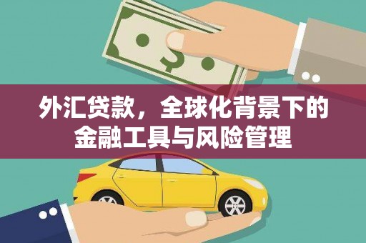 昌乐外汇贷款，全球化背景下的金融工具与风险管理