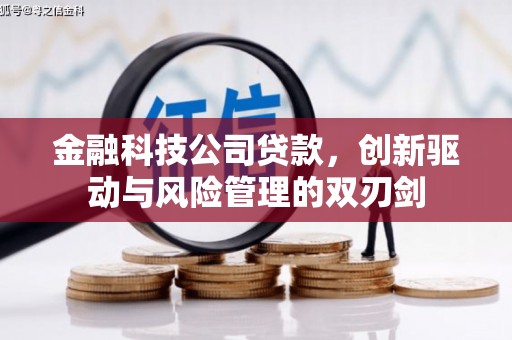 昌乐金融科技公司贷款，创新驱动与风险管理的双刃剑